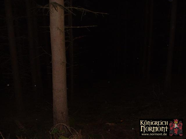 DSCF0039