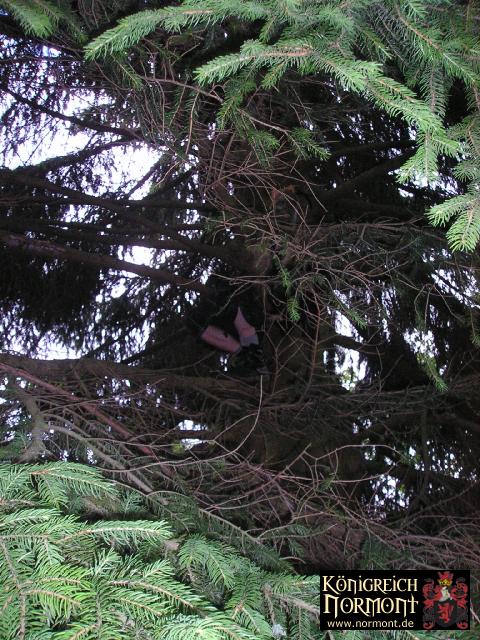 P1010036